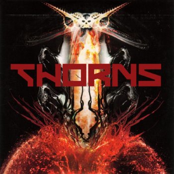 Thorns Underneath the Universe 1