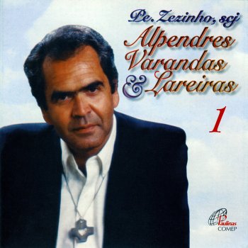 Pe. Zezinho, SCJ Gravidez