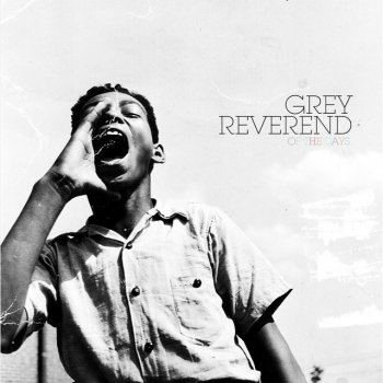 Grey Reverend Like Mockingbirds