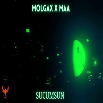 Molgax Suçumsun