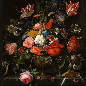 Исполнитель Tripp 97', альбом stargazing