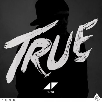 Avicii I Could Be the One