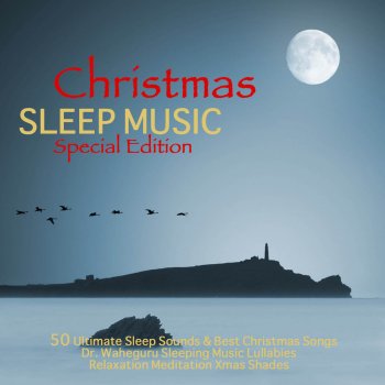 Sleep Music Lullabies Magic Bird (Bird Sounds for Restful Sleep)