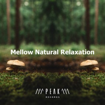Relaxing Nature Sounds Collection Dance Purple