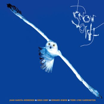 Owl Degeneration