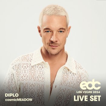 Diplo Front to Back (Mixed)