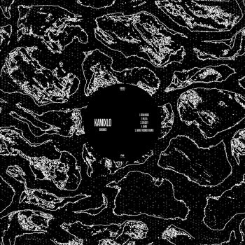 Kamixlo feat. Visionist Lariat - Visionist Remix