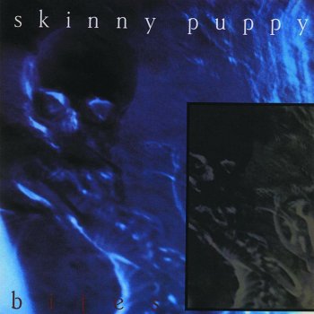 Skinny Puppy One Day