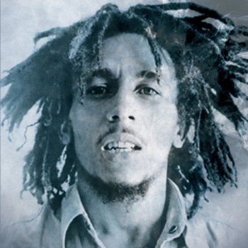 Bob Marley Fussin' And Fightin'