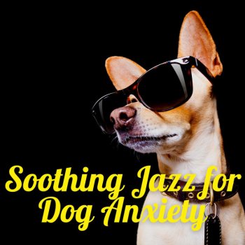 Dogs Jazz Peaceful Instrumental Music