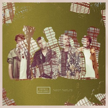 Farewell Dear Ghost Pink Noise