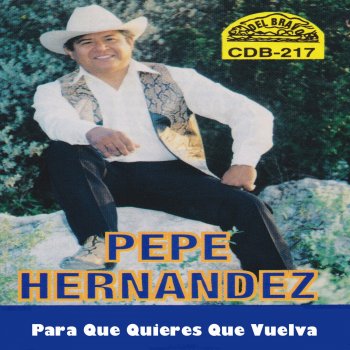 Pepe Hernández Pilar Villagomez