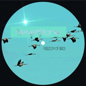 VelvetStone Freedom Of Birds