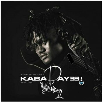 Chin Bees Kababaye