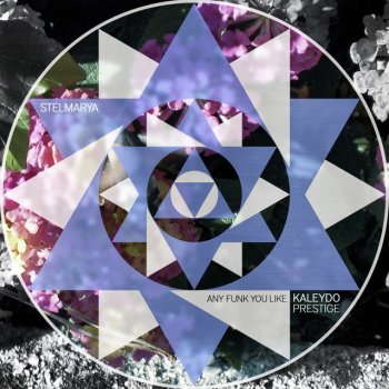 Stelmarya Any Funk You Like - Original Mix