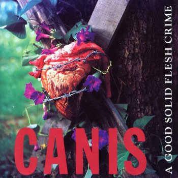 Canis Arcane World