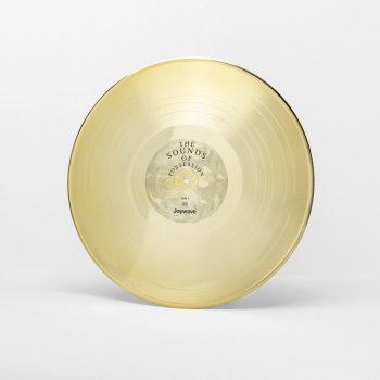 Joywave Who Owns Who?