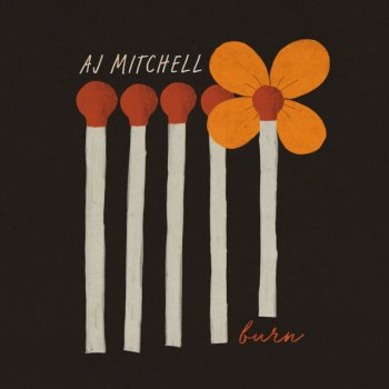 AJ Mitchell Burn