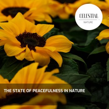 Ninas Peace Nature Music Fire Energy