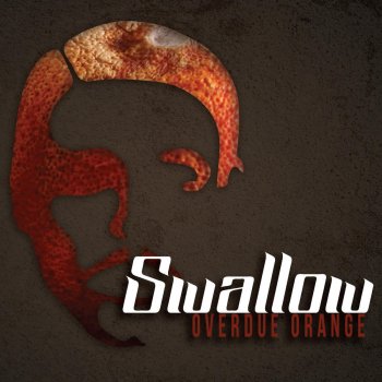 Исполнитель Swallow, альбом Overdue Orange