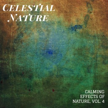 Mesmerising Lit Nature Sound East Forest