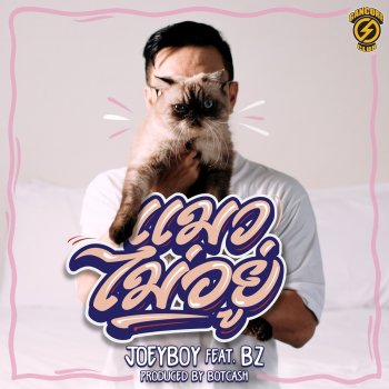 Joey Boy feat. BZ แมวไม่อยู่