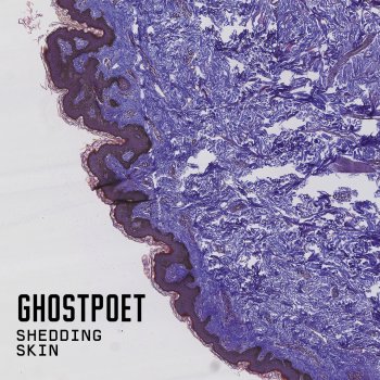 Ghostpoet Yes, I Helped You Pack