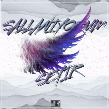 Исполнитель Seyir, альбом Sallanıyorum