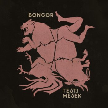 Bongor Testi Mesék