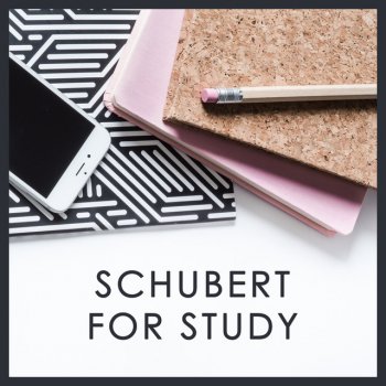 Franz Schubert feat. Wilhelm Kempff 13 Variations On A Theme By Anselm Hüttenbrenner, D.576: Variation IV