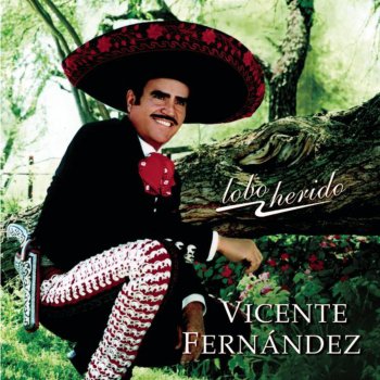 Vicente Fernández Me Va a Hacer Falta Vída