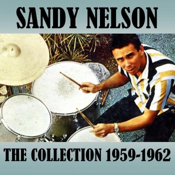 Sandy Nelson Drums - For Drummers Only