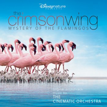The Cinematic Orchestra feat. London Metropolitan Orchestra Soda