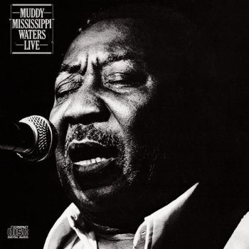 Muddy Waters Nine Below Zero - Live