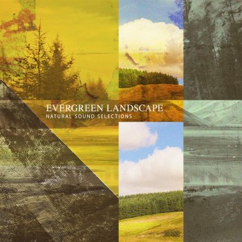 Natural Sound Selections Otherworld Lounge