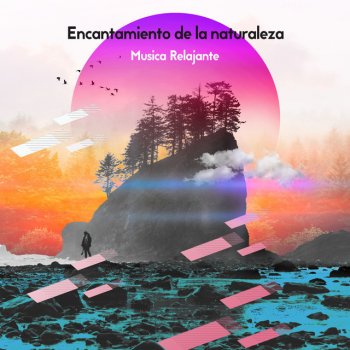 Música relajante Fast Stream and Birds