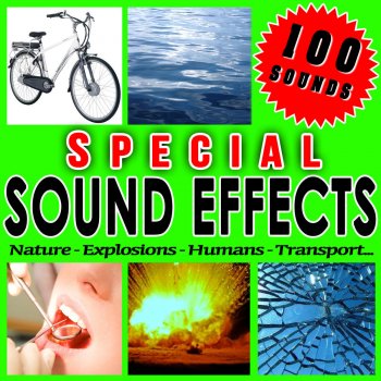 Sfx Professional Resource Studio Door Bell