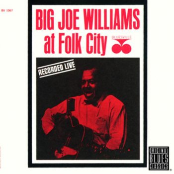 Big Joe Williams She's Doggin' Me