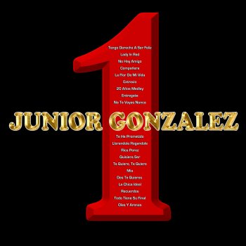 Junior Gonzalez feat. Alex Bueno Dos Te Quieros