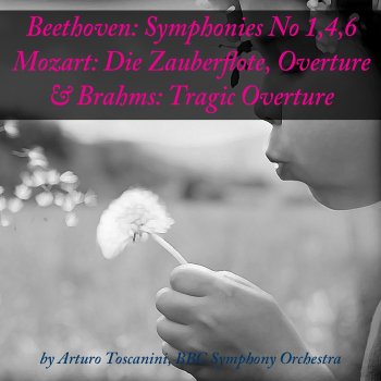 Ludwig van Beethoven feat. BBC Symphony Orchestra & Arturo Toscanini Symphony No. 1 in C Major, Op. 21: III. Menuetto, Allegro molto e vivace