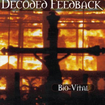 Decoded Feedback God's Sin