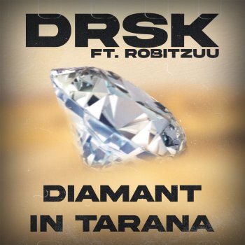 DRSK Diamant in Tarana (feat. robitzuu)