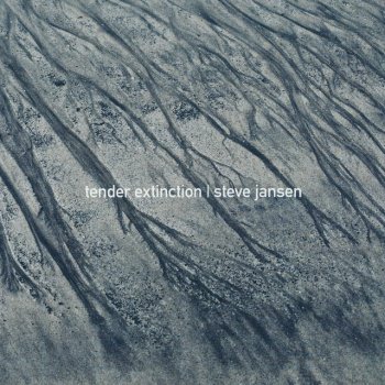 Steve Jansen And Birds Sing All Night