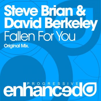 Steve Brian feat. David Berkeley Fallen for You