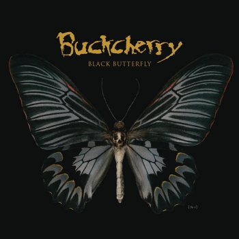 Buckcherry Rose