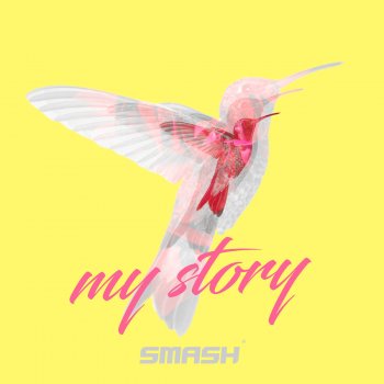 Smash My Story (Radio Edit)