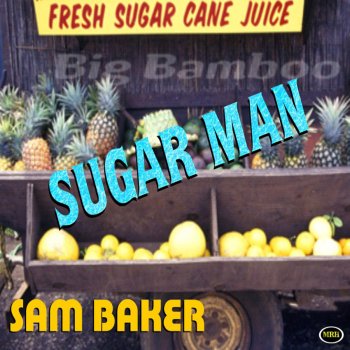 Sam Baker I Can't Turn You Loose