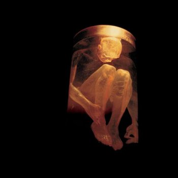 Alice In Chains What the Hell Have I