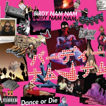 Birdy Nam Nam Won't Do It