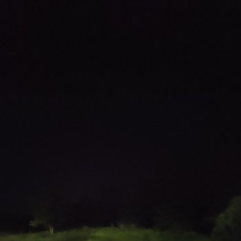 Исполнитель Kat, альбом Into the night